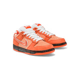 Dunk SB Low Concepts Orange Lobster (Special Box)