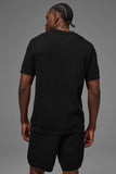Sports Club Sweater Knit Polo & 7" Sports Club Sweater Knit Short
