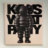 KAWS Paintings (Small)